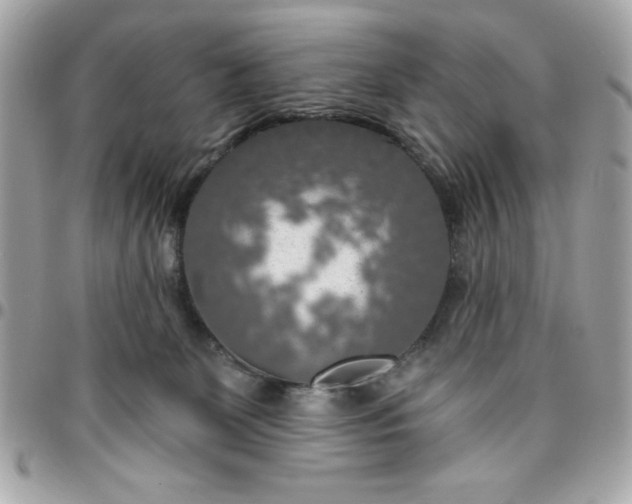 X0000096470131200802071905