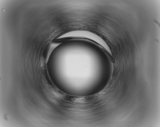 X0000096470132200802071905