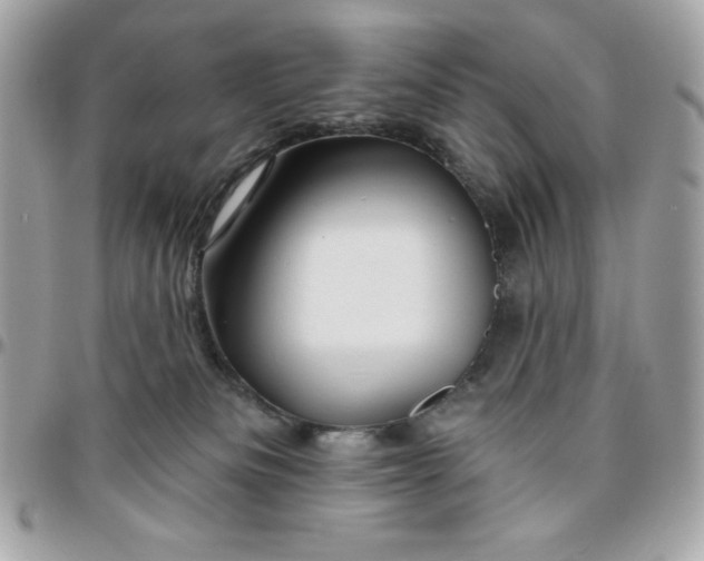 X0000096470133200802071905