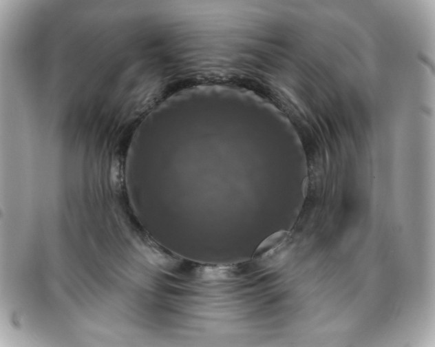 X0000096470134200802071905