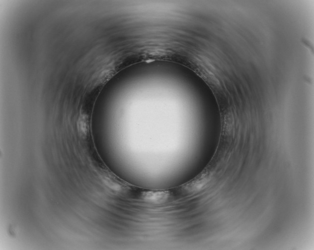 X0000096470135200802071905