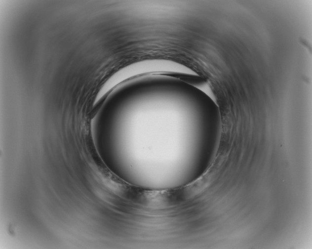 X0000096470136200802071905