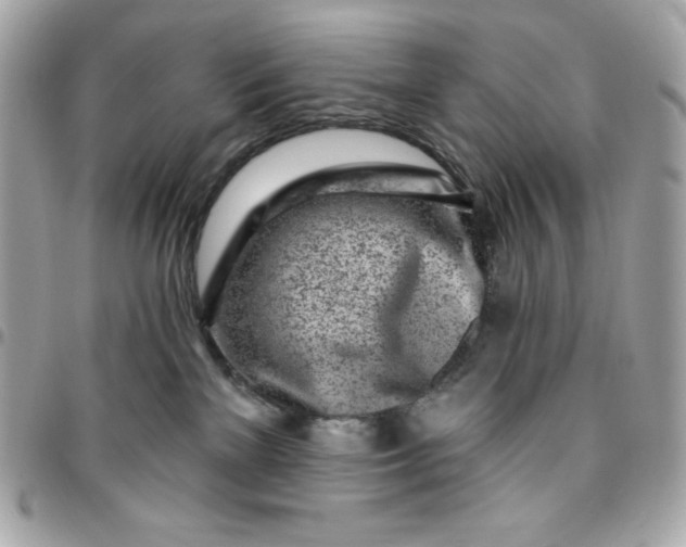 X0000096470137200802071905