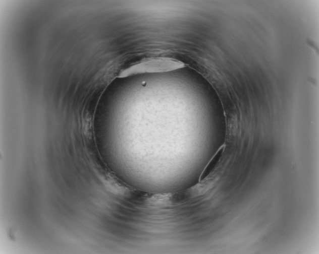 X0000096470138200802071905