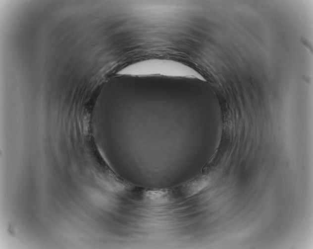 X0000096470139200802071905