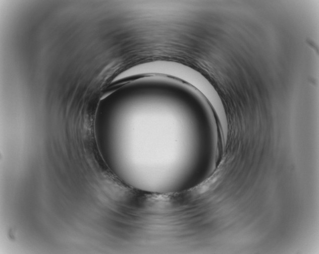 X0000096470140200802071905