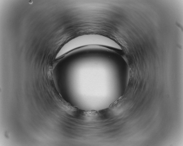 X0000096470141200802071905