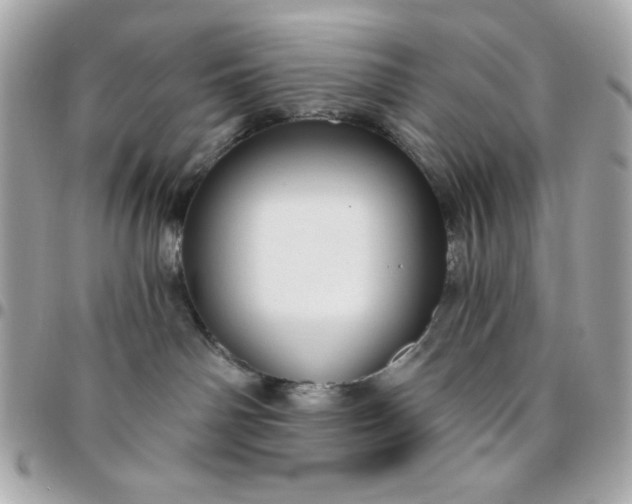 X0000096470142200802071905