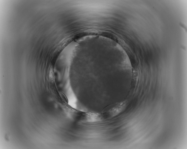 X0000096470143200802071905