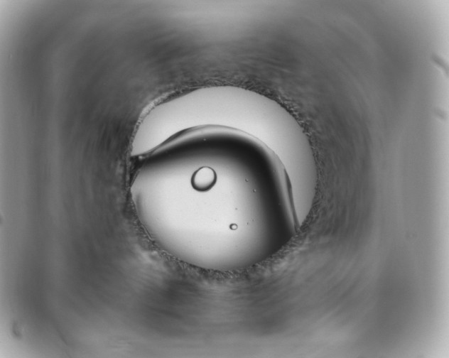 X0000096470144200802071905