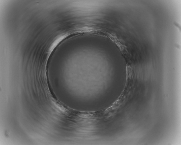 X0000096470147200802071904