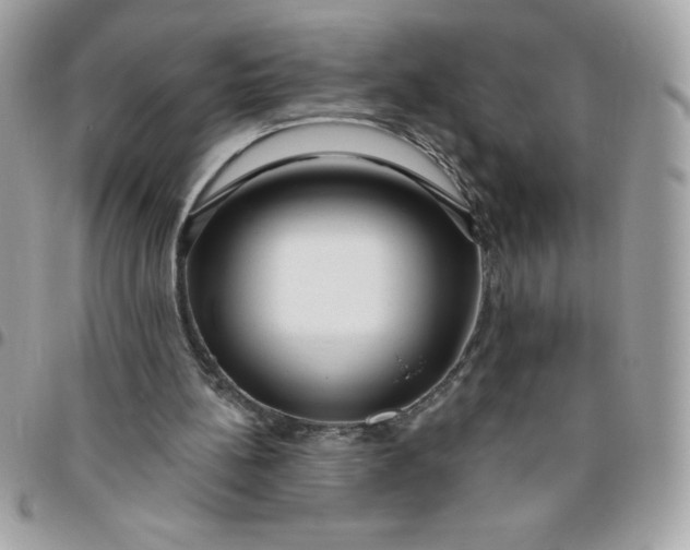 X0000096470148200802071904