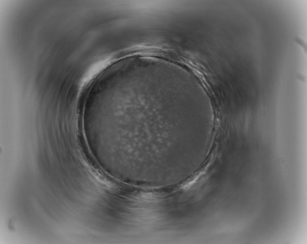 X0000096470149200802071904