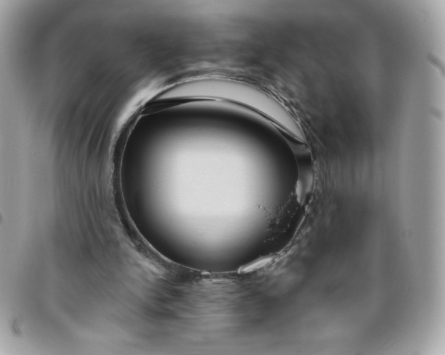 X0000096470150200802071904