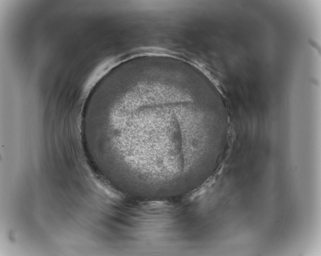 X0000096470151200802071904