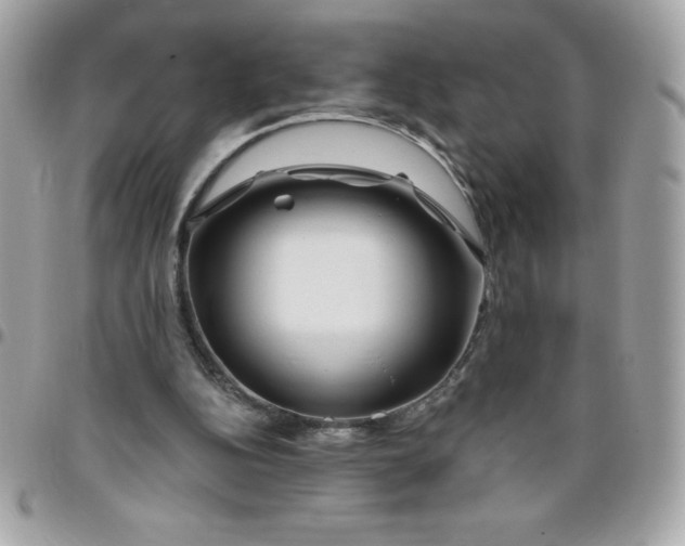 X0000096470152200802071904