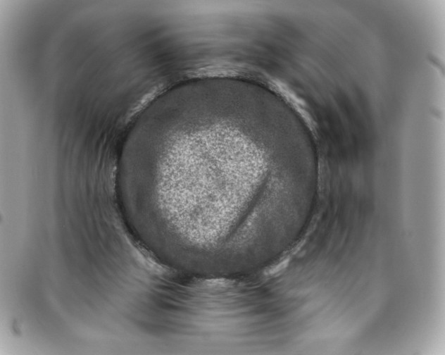 X0000096470153200802071904