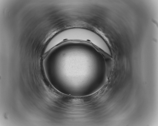 X0000096470154200802071904