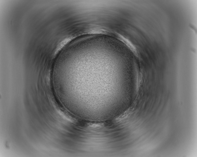 X0000096470155200802071904