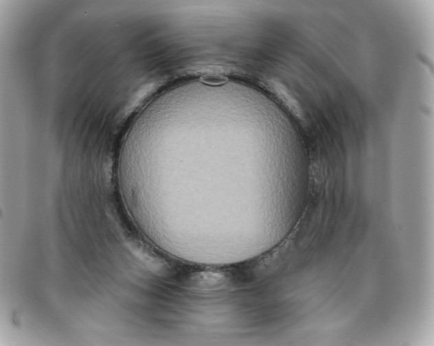 X0000096470159200802071904