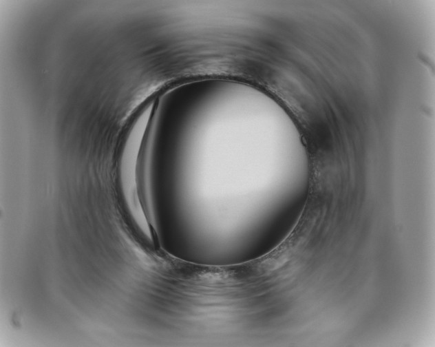 X0000096470160200802071904