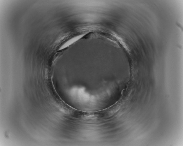 X0000096470161200802071904