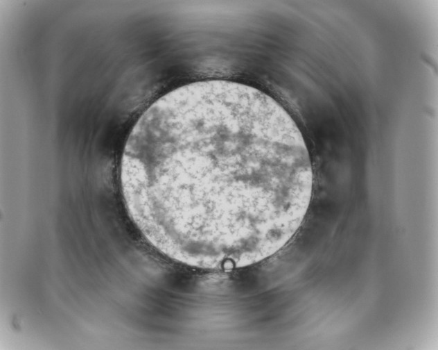 X0000096470162200802071904