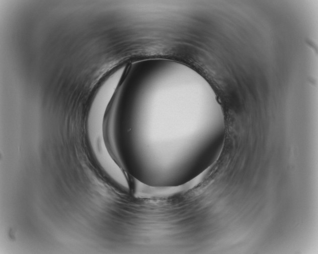 X0000096470164200802071904