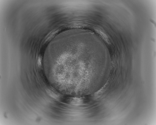 X0000096470166200802071904