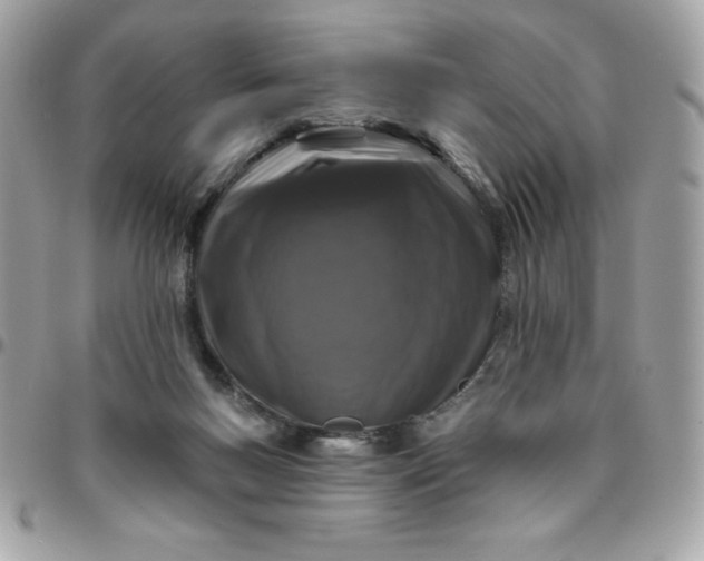 X0000096470167200802071904