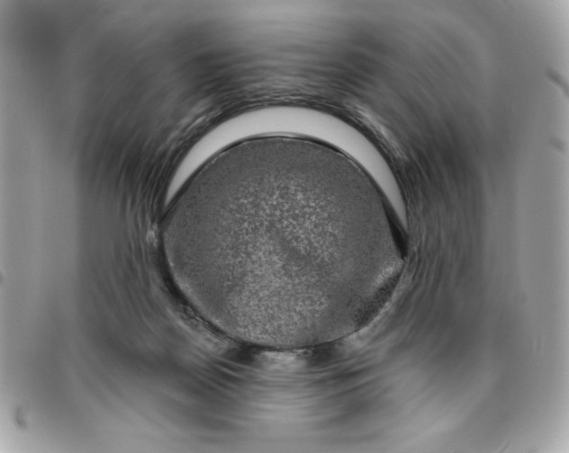 X0000096470170200802071904