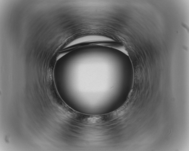 X0000096470172200802071904