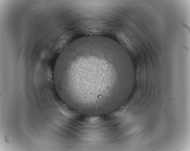 X0000096470173200802071904