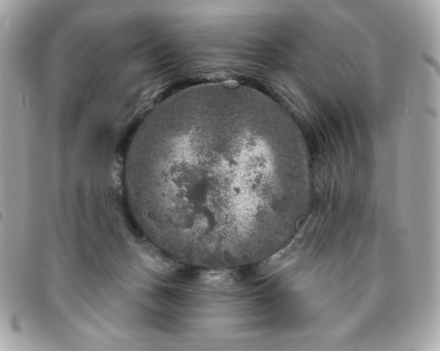 X0000096470175200802071905