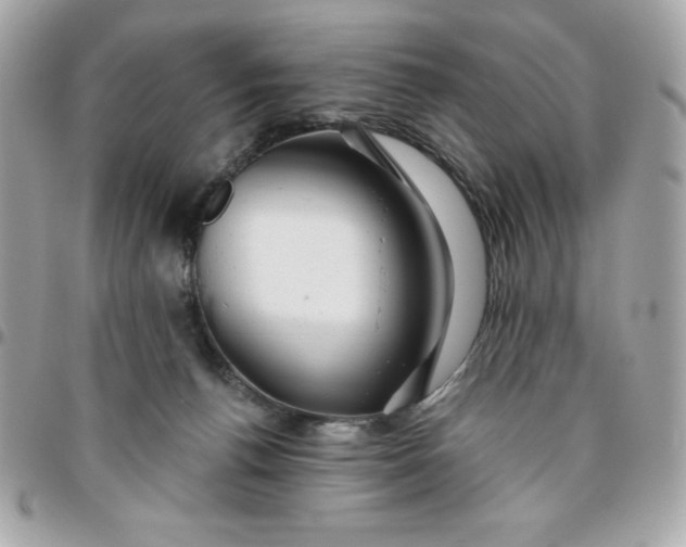 X0000096470176200802071905