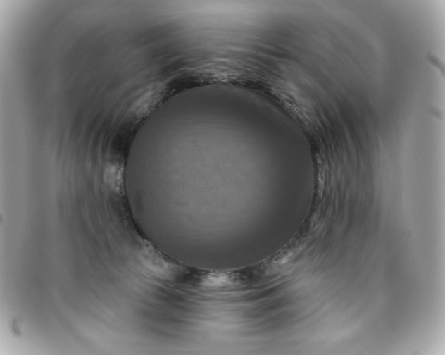 X0000096470177200802071905