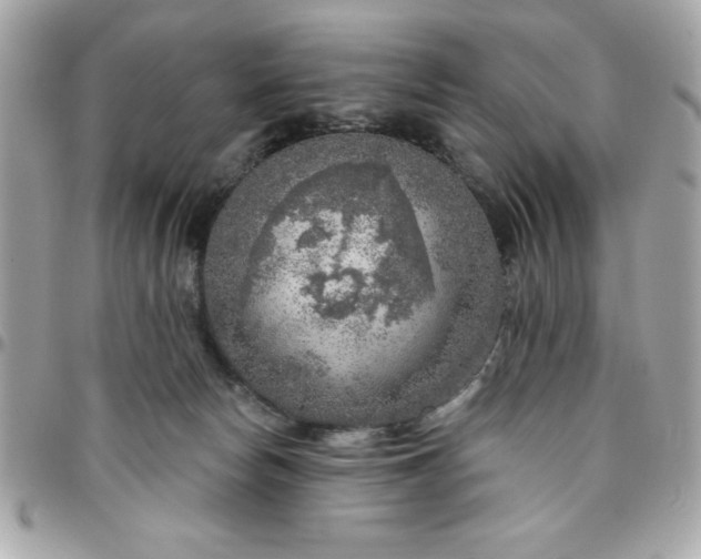 X0000096470178200802071905