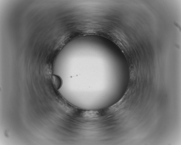 X0000096470179200802071905