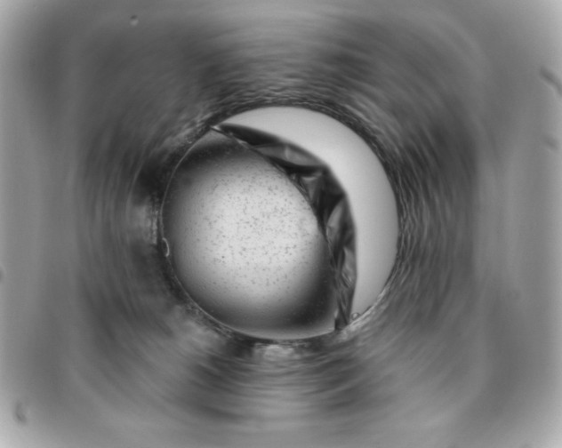 X0000096470180200802071905