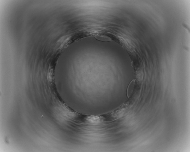 X0000096470181200802071905