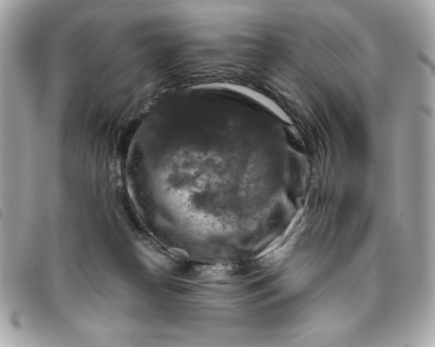 X0000096470182200802071905