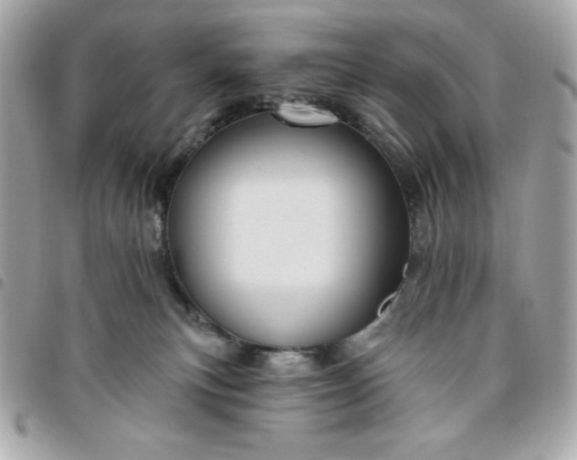 X0000096470183200802071905