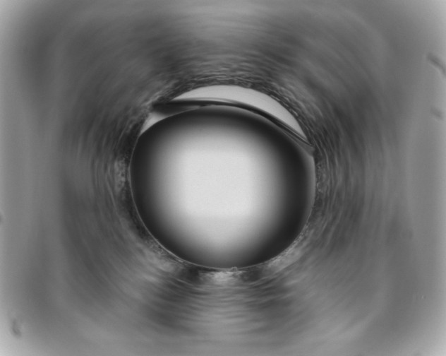 X0000096470184200802071905