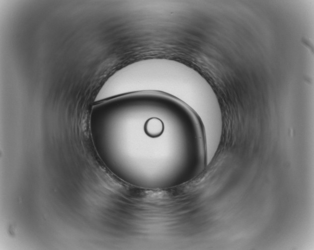 X0000096470185200802071905