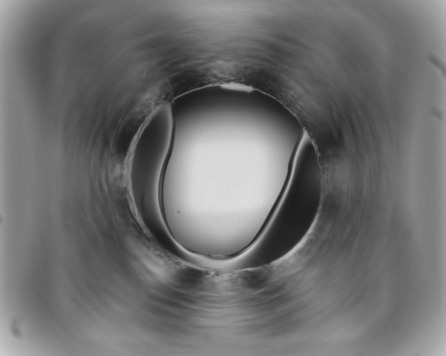 X0000096470186200802071905