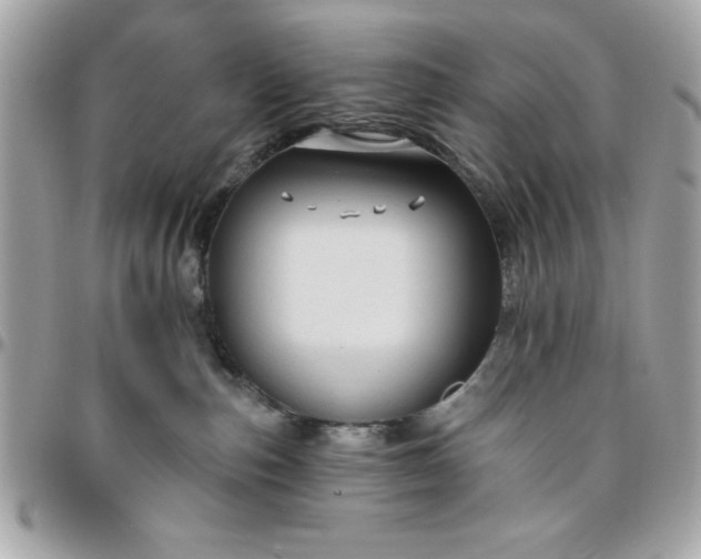 X0000096470187200802071905