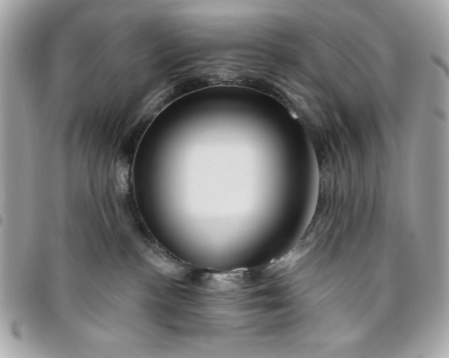 X0000096470188200802071905