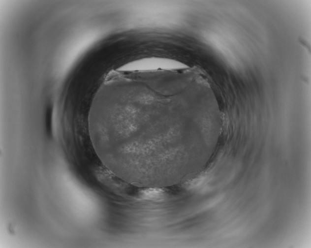 X0000096470189200802071905