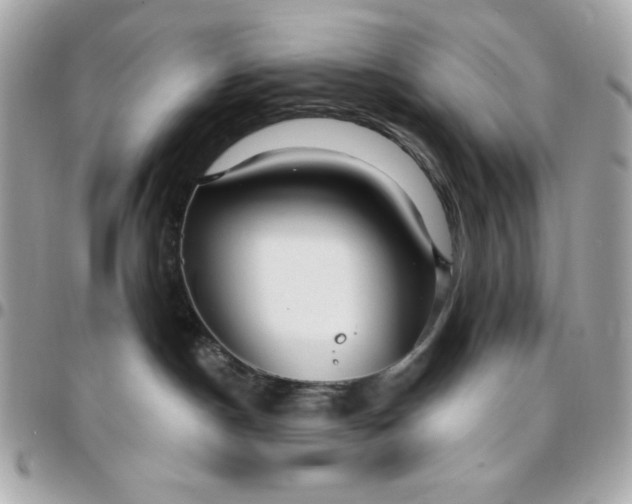 X0000096470190200802071905