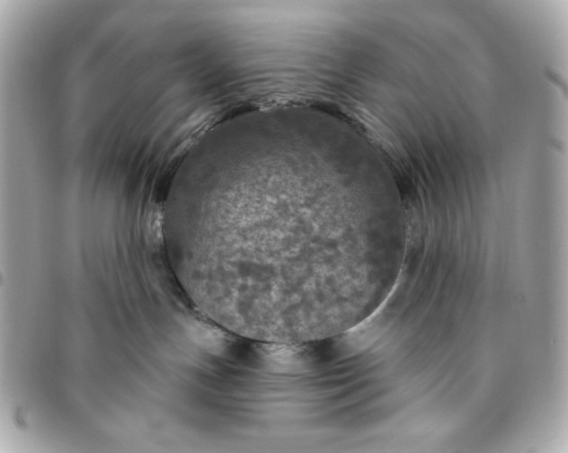 X0000096470191200802071905